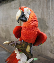 Load image into Gallery viewer, &quot;Scarlet Knight&quot; Parrot Sculpture
