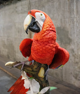 "Scarlet Knight" Parrot Sculpture