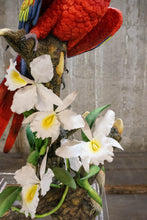 Load image into Gallery viewer, &quot;Scarlet Knight&quot; Parrot Sculpture
