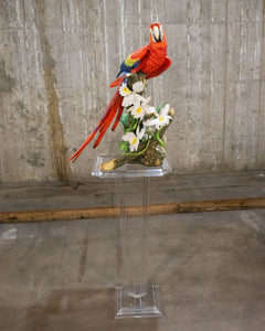 "Scarlet Knight" Parrot Sculpture